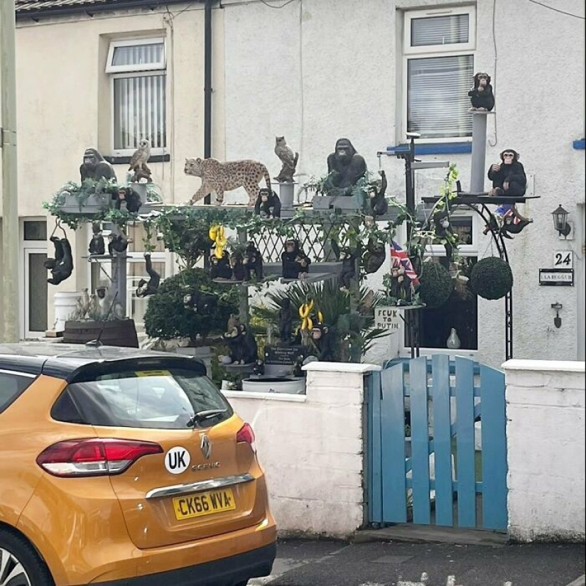35 Times People Went Out Of Their Way To Make Their Gardens And Yards Unique But Ended Up With These