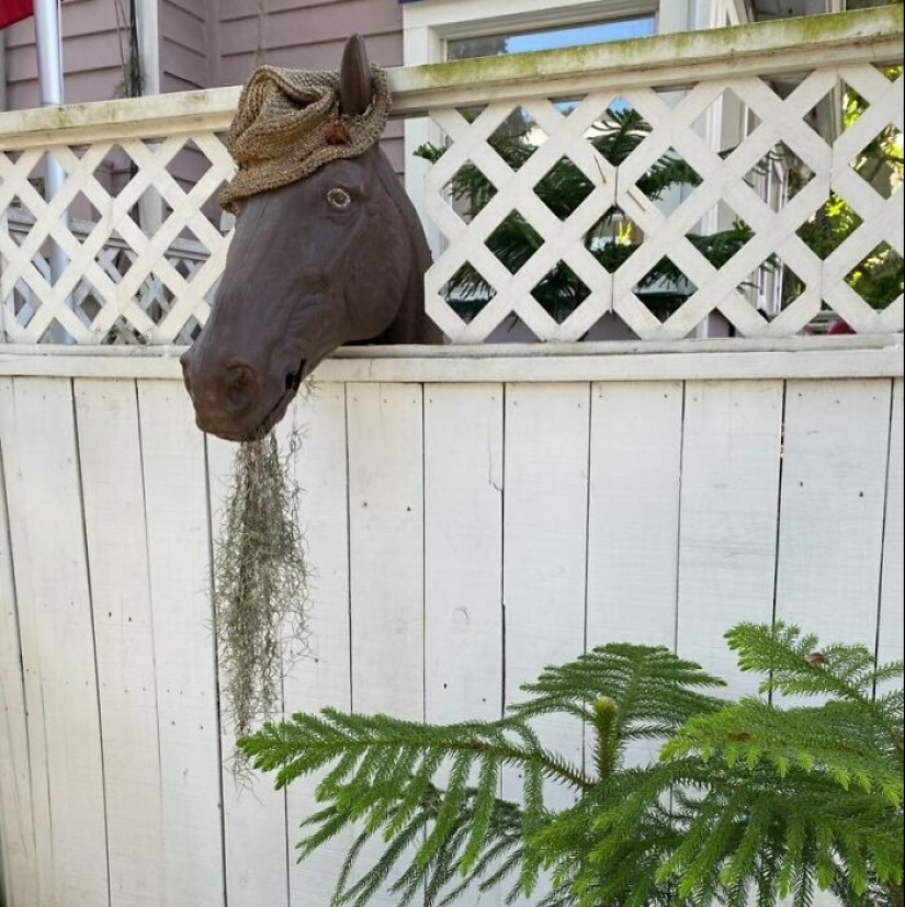 35 Times People Went Out Of Their Way To Make Their Gardens And Yards Unique But Ended Up With These