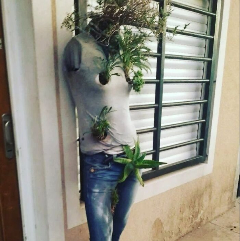 35 Times People Went Out Of Their Way To Make Their Gardens And Yards Unique But Ended Up With These