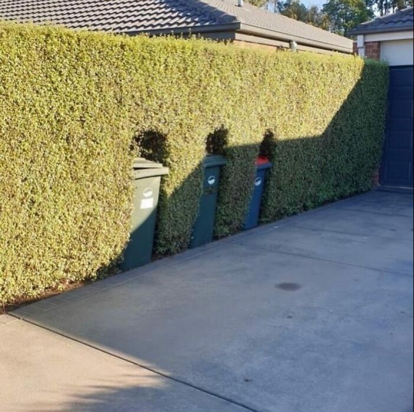 35 Times People Went Out Of Their Way To Make Their Gardens And Yards Unique But Ended Up With These