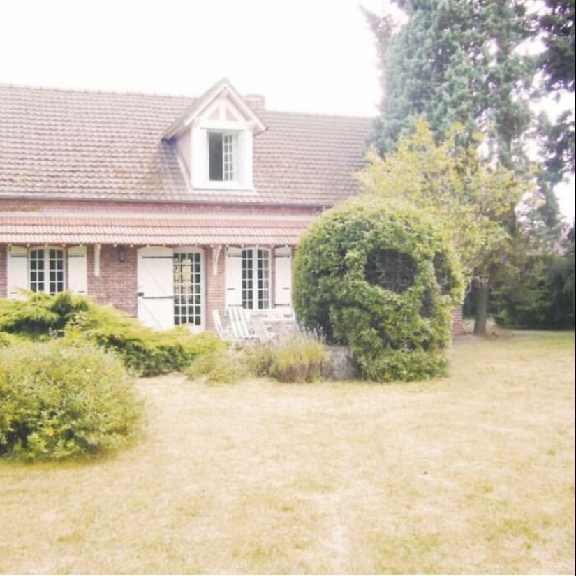 35 Times People Went Out Of Their Way To Make Their Gardens And Yards Unique But Ended Up With These