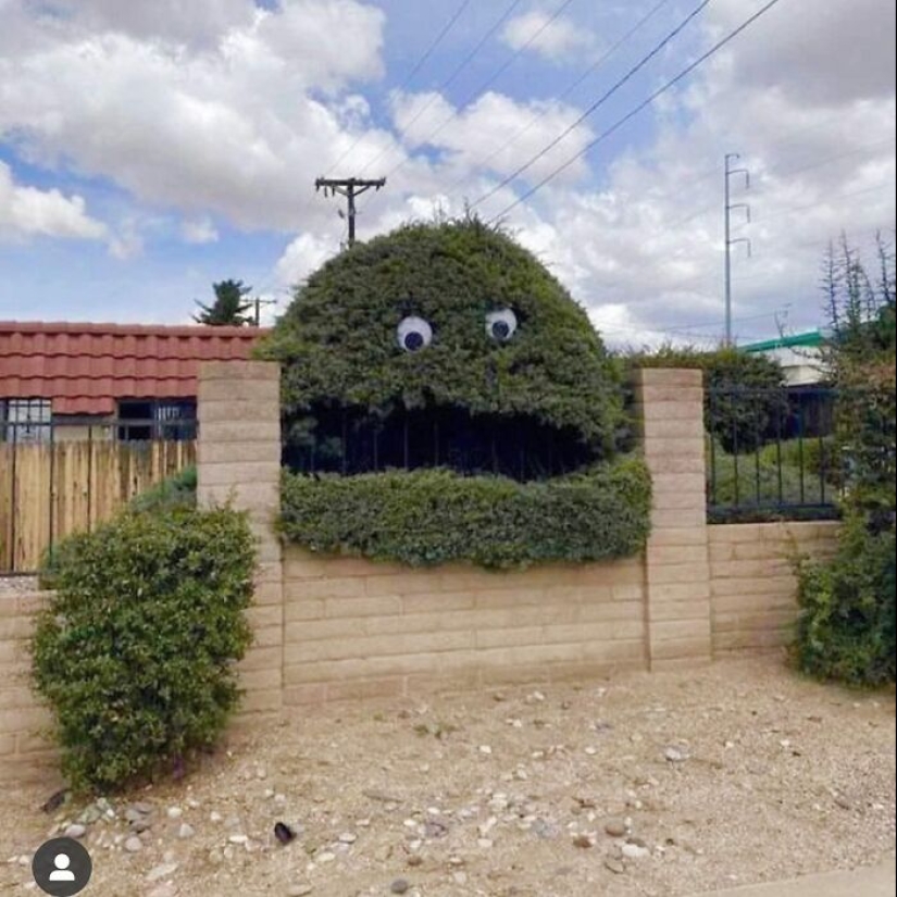 35 Times People Went Out Of Their Way To Make Their Gardens And Yards Unique But Ended Up With These