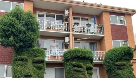 35 veces en las que las personas se esforzaron por hacer que sus jardines y patios fueran únicos, pero terminaron con estos