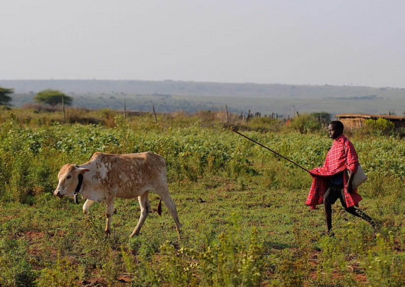 37 increíbles fotos de escolares de todo el mundo