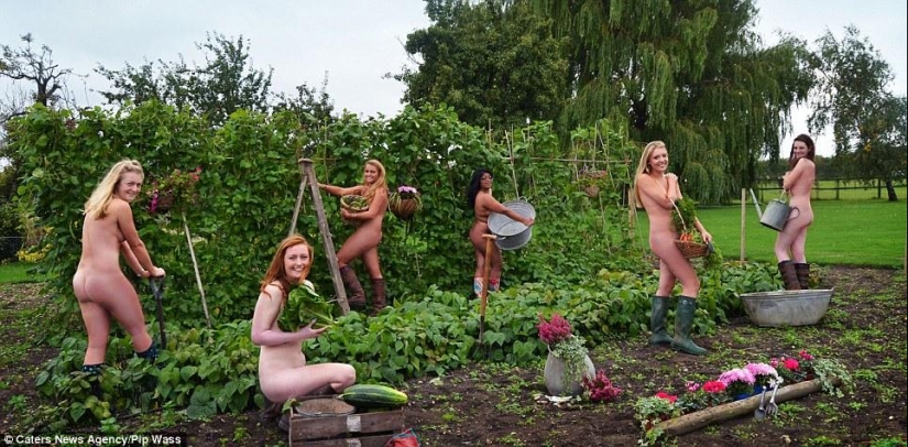 'Heavy Machinery': Granjeros se desnudan para calendario benéfico