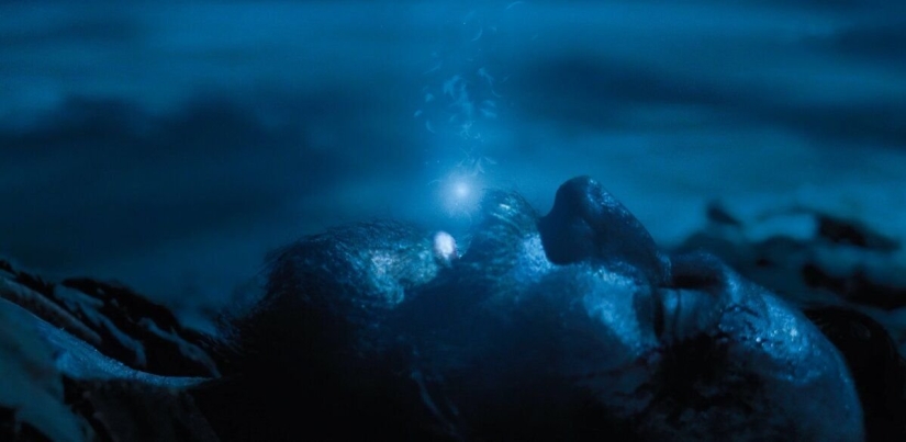 4 cosas que inspiraron a JK Rowling a escribir Harry Potter 4 cosas que inspiraron a JK Rowling a escribir Harry Potter