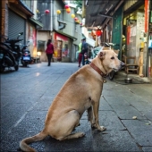 4 temas de los que es mejor no hablar en Taiwán con los locales para no ofenderlos