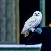 4 things that inspired JK Rowling to write Harry Potter