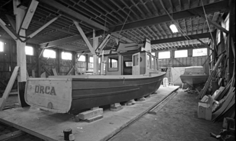 40 Aniversario de Tiburón de Steven Spielberg! [Parte 2]