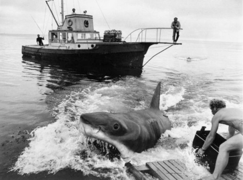 40 Aniversario de Tiburón de Steven Spielberg! [Parte 2]