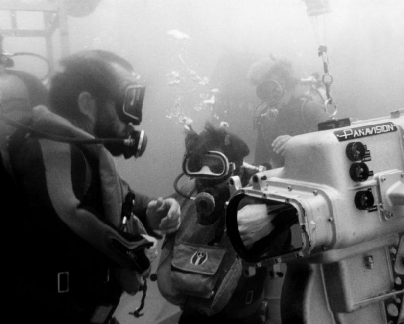 40 Aniversario de Tiburón de Steven Spielberg! [Parte 2]