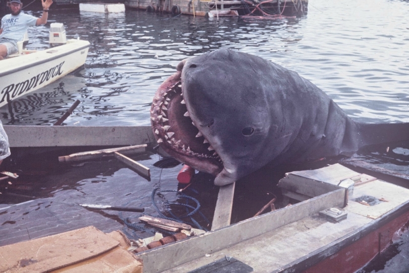 40 Aniversario de Tiburón de Steven Spielberg! [Parte 2]