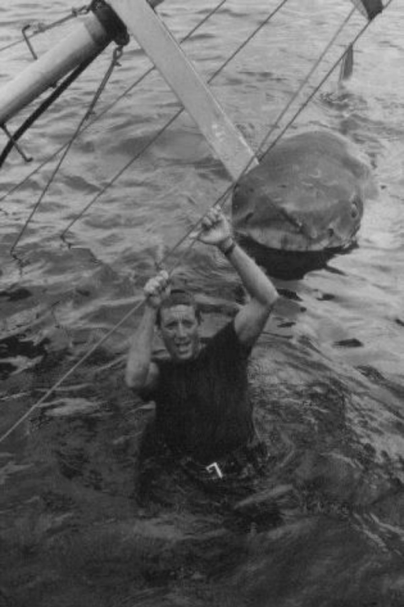 40 Aniversario de Tiburón de Steven Spielberg! [Parte 2]