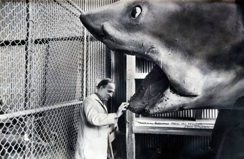 40 Aniversario de Tiburón de Steven Spielberg! [Parte 2]