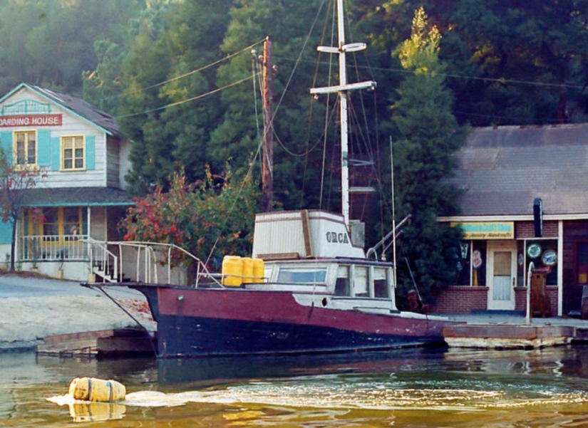 40 Aniversario de Tiburón de Steven Spielberg! [Parte 2]