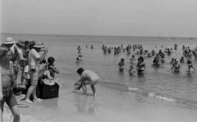 40 Aniversario de Tiburón de Steven Spielberg! [Parte 2]