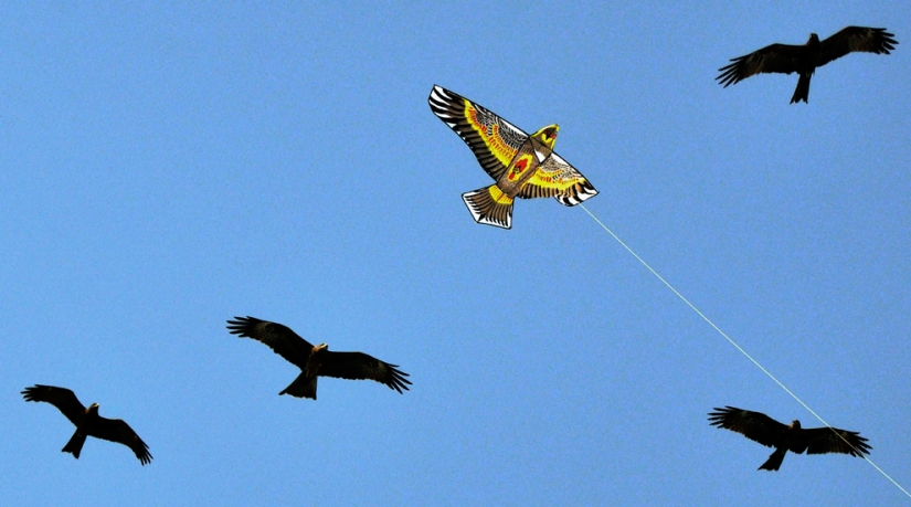 40 best shots that caught the wind