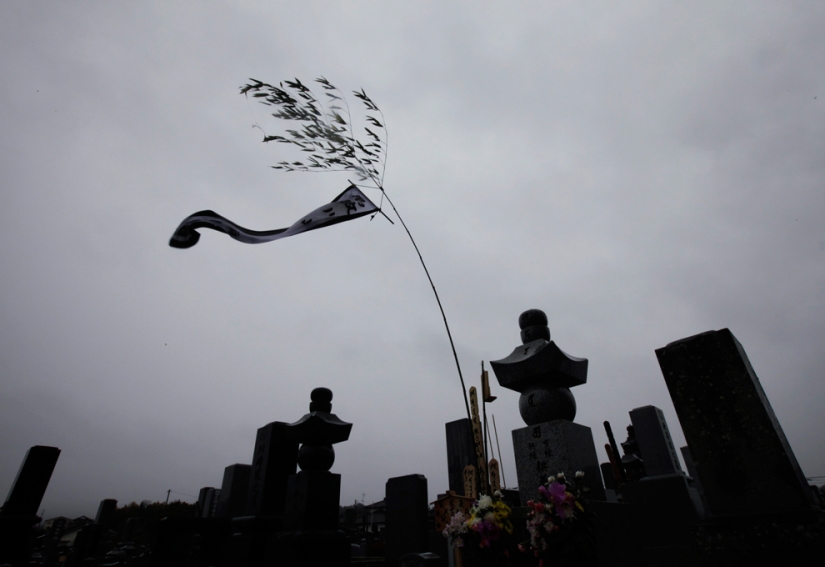 40 mejores tiros que atraparon el viento