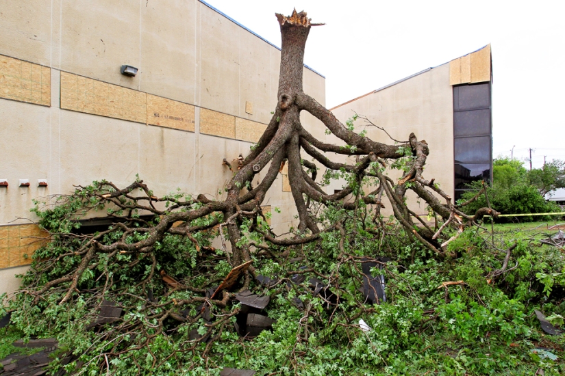 40 mejores tiros que atraparon el viento