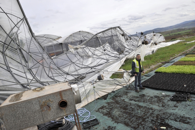 40 mejores tiros que atraparon el viento