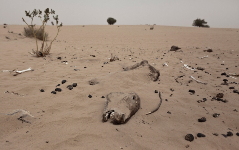 40 mejores tiros que atraparon el viento