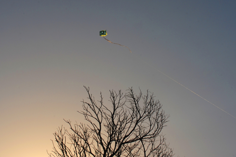 40 mejores tiros que atraparon el viento