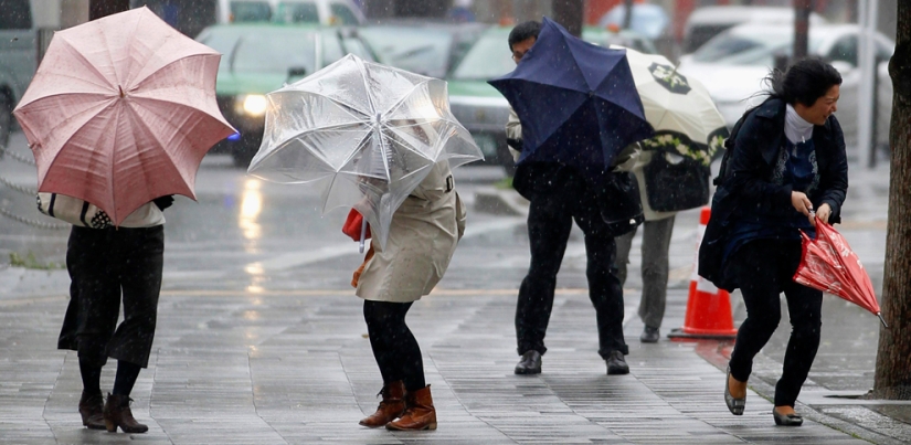 40 mejores tiros que atraparon el viento