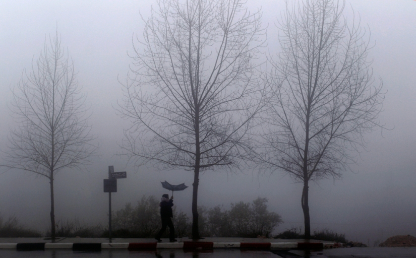 40 mejores tiros que atraparon el viento