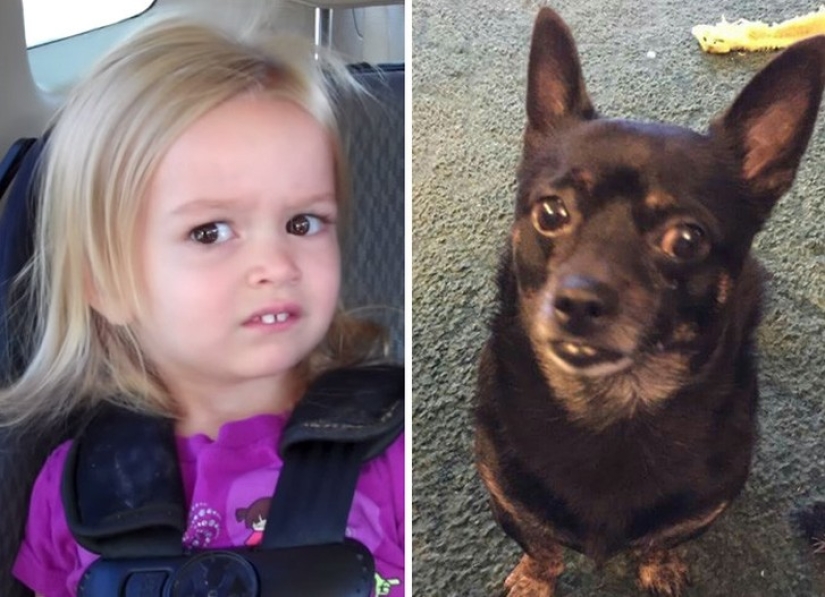 40 people and things whose similarity rolls over