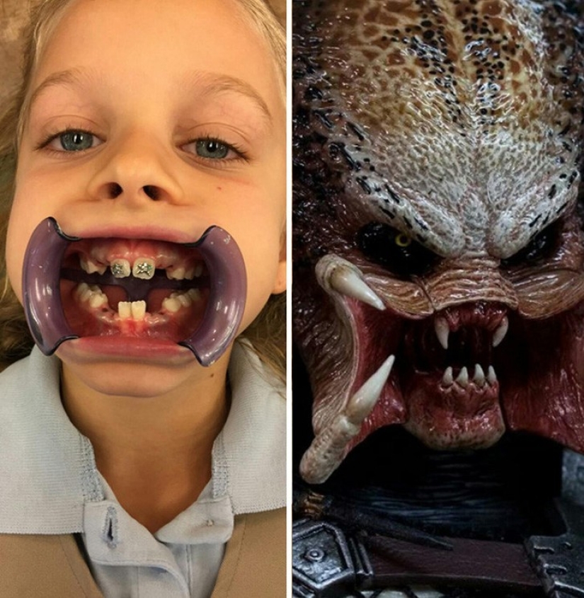 40 people and things whose similarity rolls over