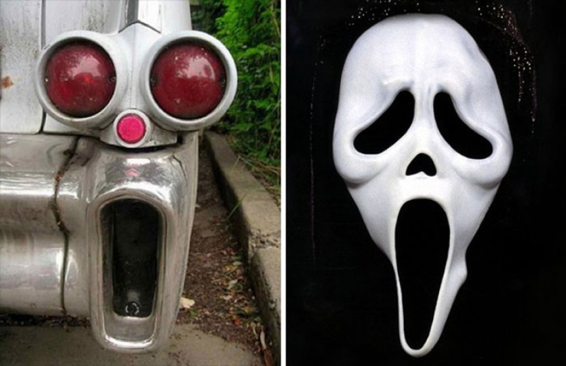 40 people and things whose similarity rolls over