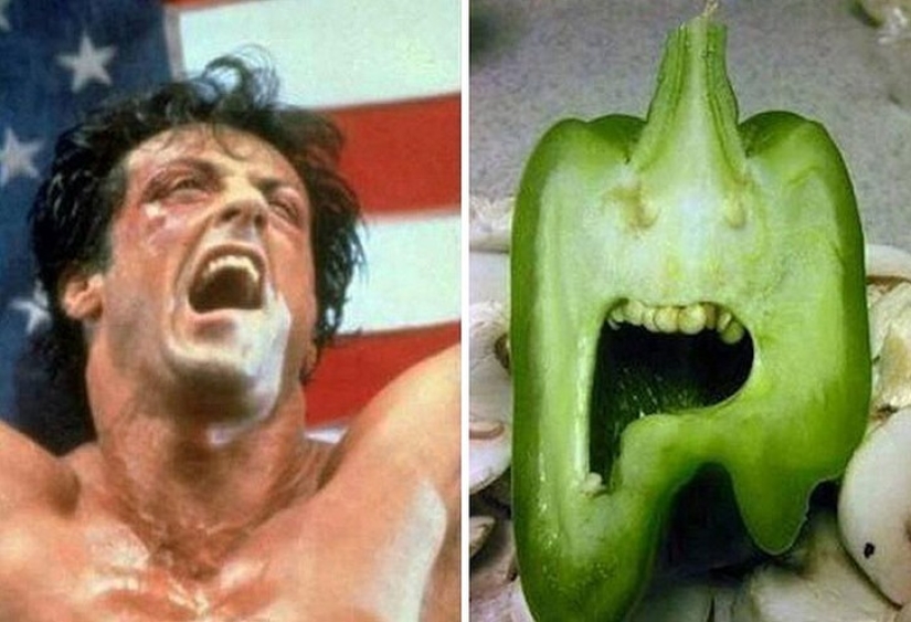 40 people and things whose similarity rolls over