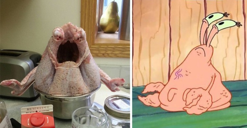 40 people and things whose similarity rolls over