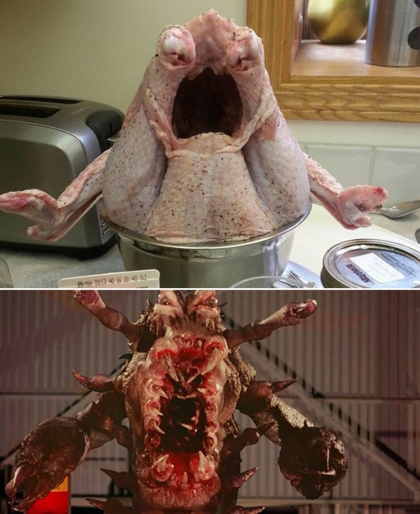 40 personas y cosas cuya similitud da vueltas