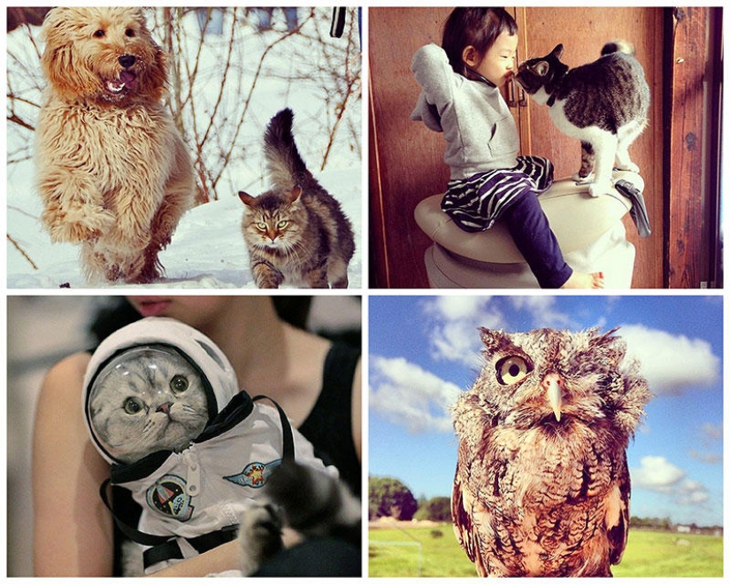 43 most touching Instagrams of 2013 43 most touching Instagrams of 2013