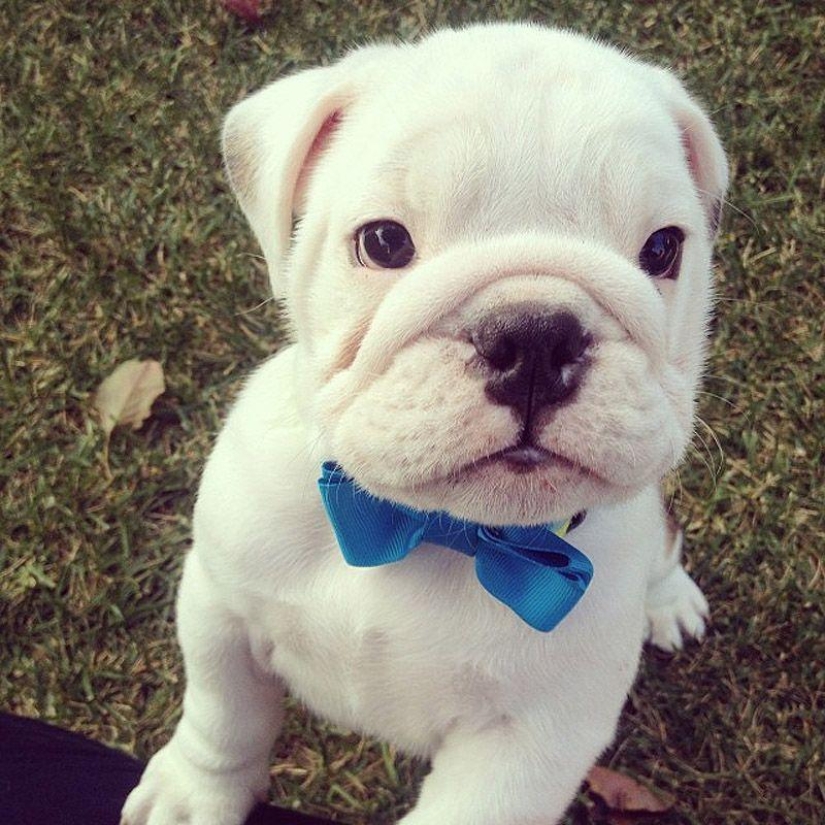 43 most touching Instagrams of 2013 43 most touching Instagrams of 2013