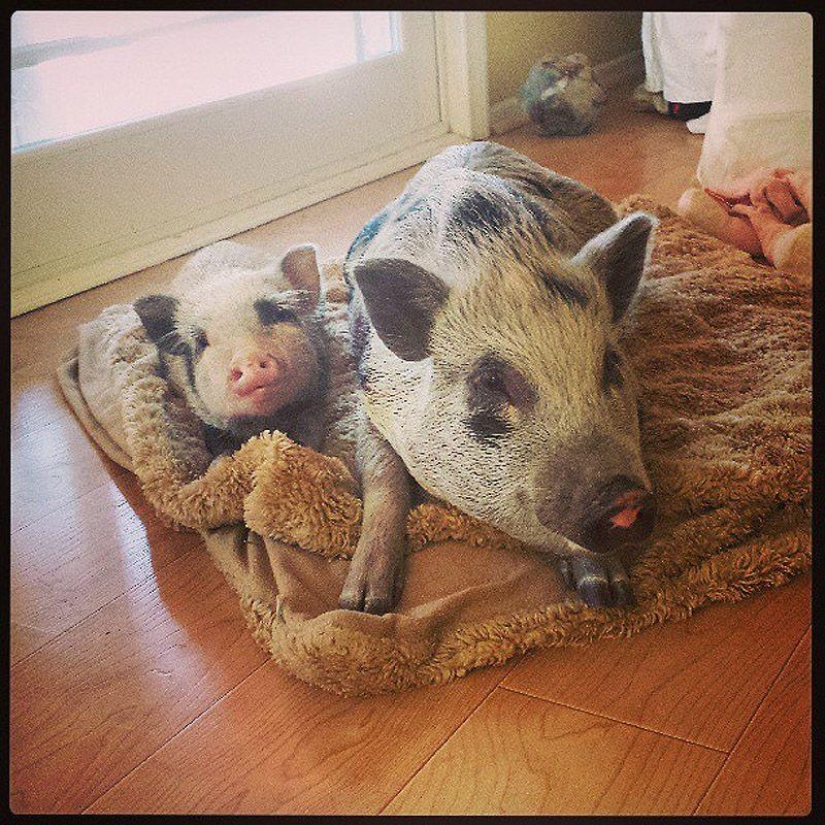 43 most touching Instagrams of 2013 43 most touching Instagrams of 2013