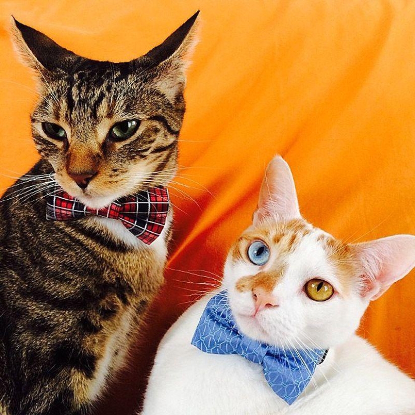 43 most touching Instagrams of 2013 43 most touching Instagrams of 2013