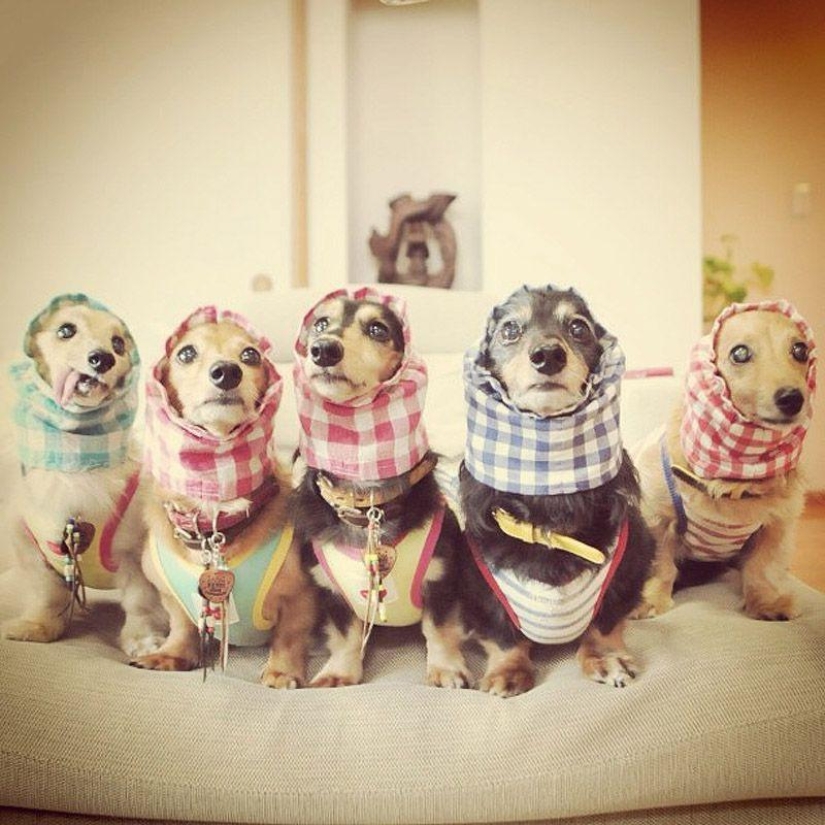 43 most touching Instagrams of 2013 43 most touching Instagrams of 2013