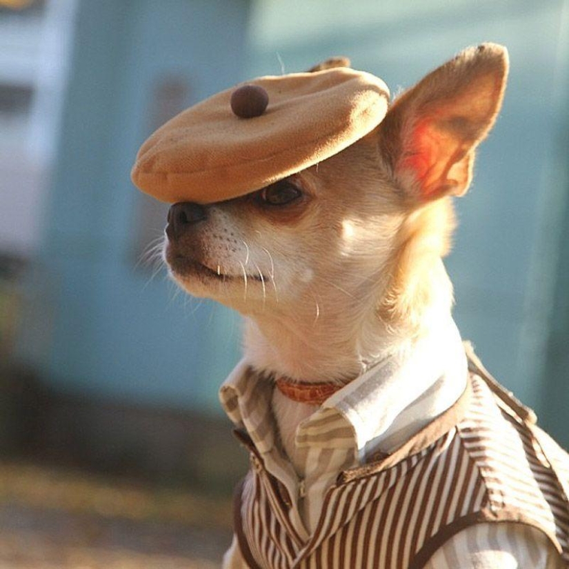 43 most touching Instagrams of 2013 43 most touching Instagrams of 2013