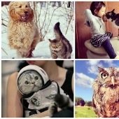 43 most touching Instagrams of 2013