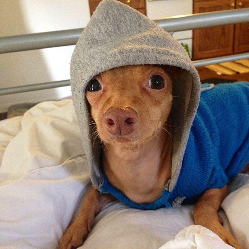 43 most touching Instagrams of 2013 43 most touching Instagrams of 2013