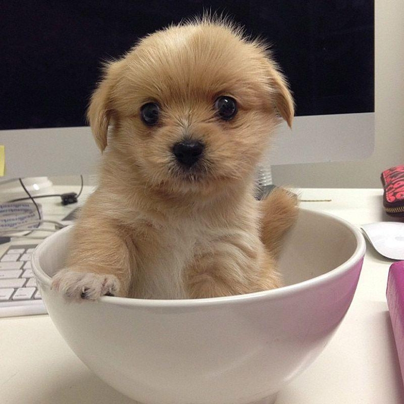 43 most touching Instagrams of 2013 43 most touching Instagrams of 2013