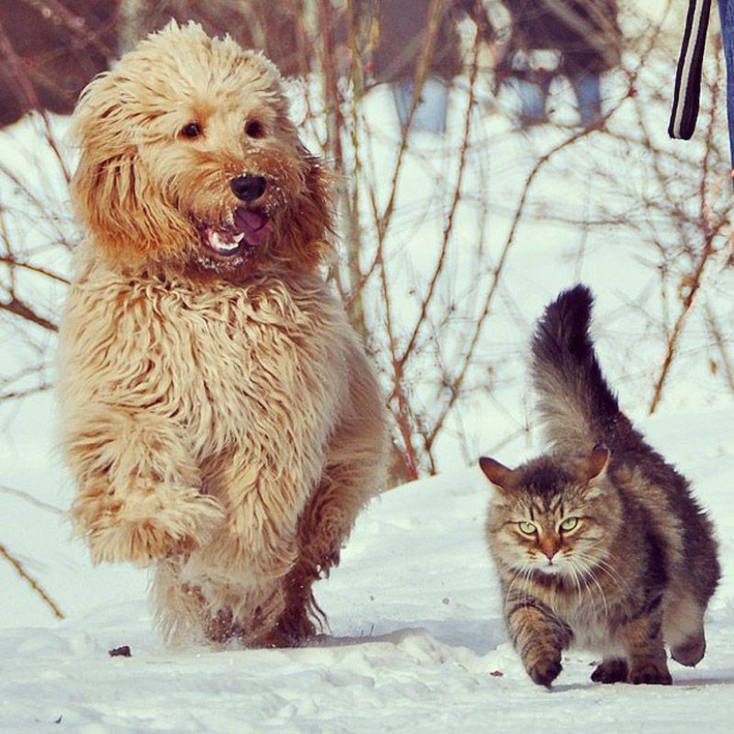 43 most touching Instagrams of 2013 43 most touching Instagrams of 2013