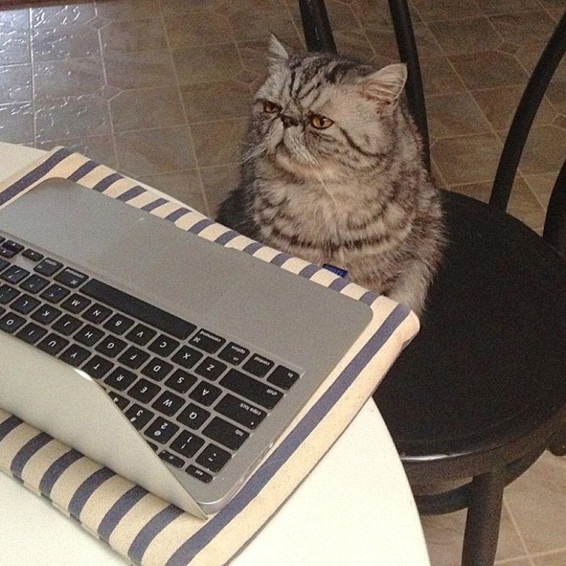 43 most touching Instagrams of 2013 43 most touching Instagrams of 2013