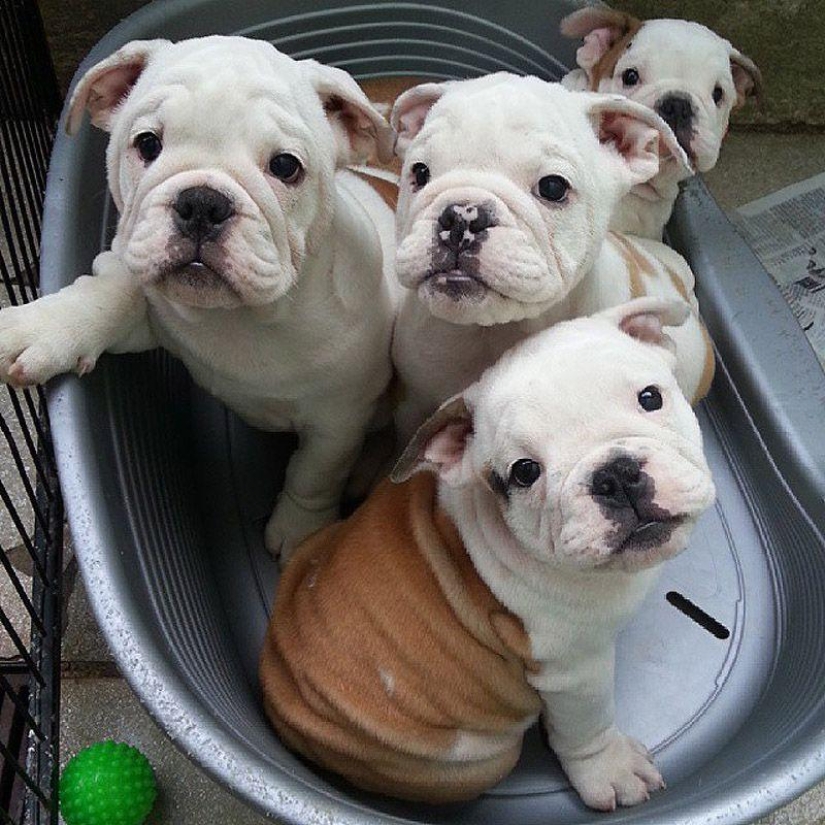 43 most touching Instagrams of 2013 43 most touching Instagrams of 2013