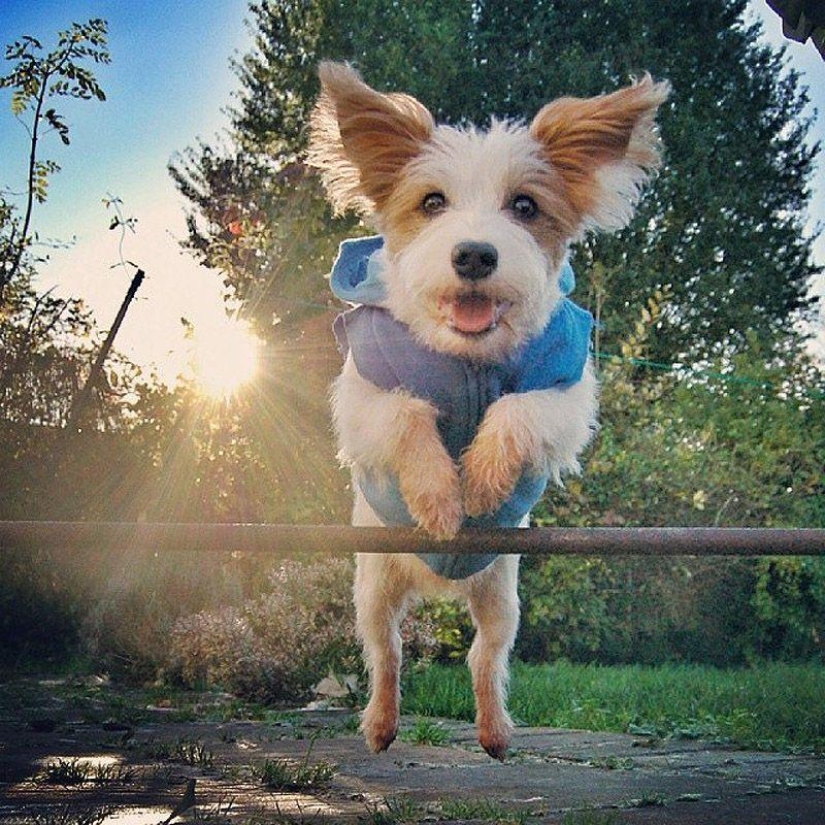 43 most touching Instagrams of 2013 43 most touching Instagrams of 2013