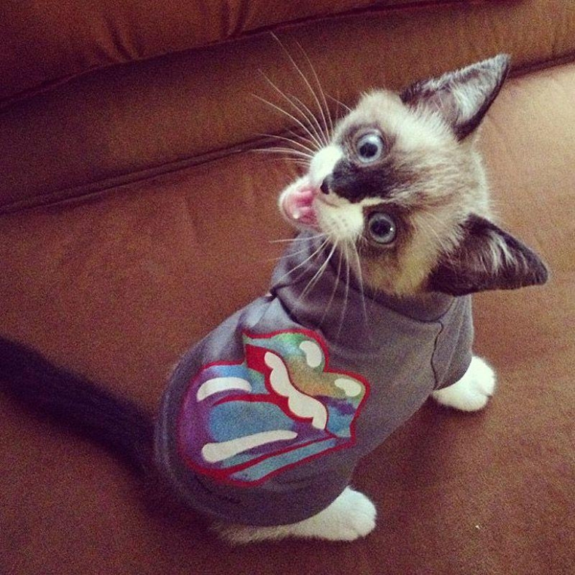 43 most touching Instagrams of 2013 43 most touching Instagrams of 2013