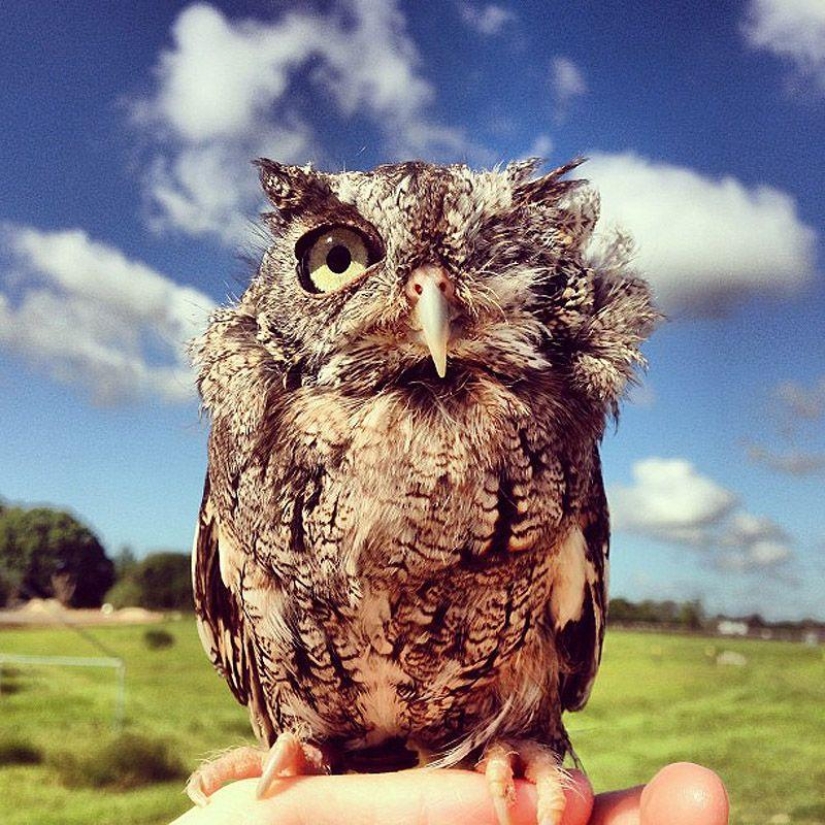 43 most touching Instagrams of 2013 43 most touching Instagrams of 2013