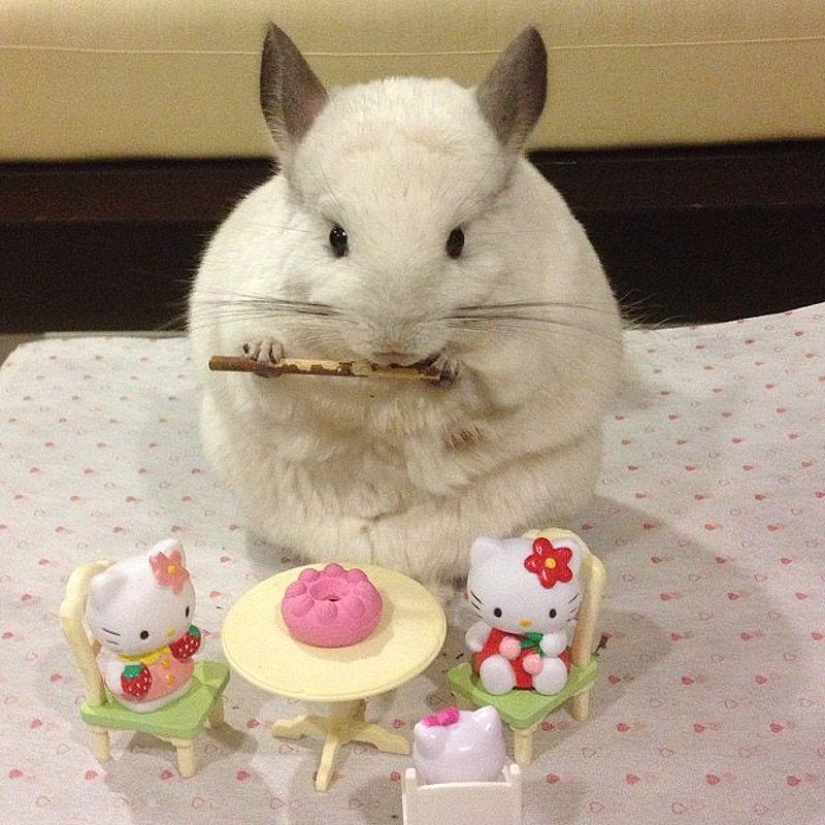 43 most touching Instagrams of 2013 43 most touching Instagrams of 2013